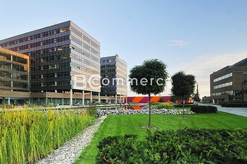 Pronájem kanceláře 646 m² – fotografie 4