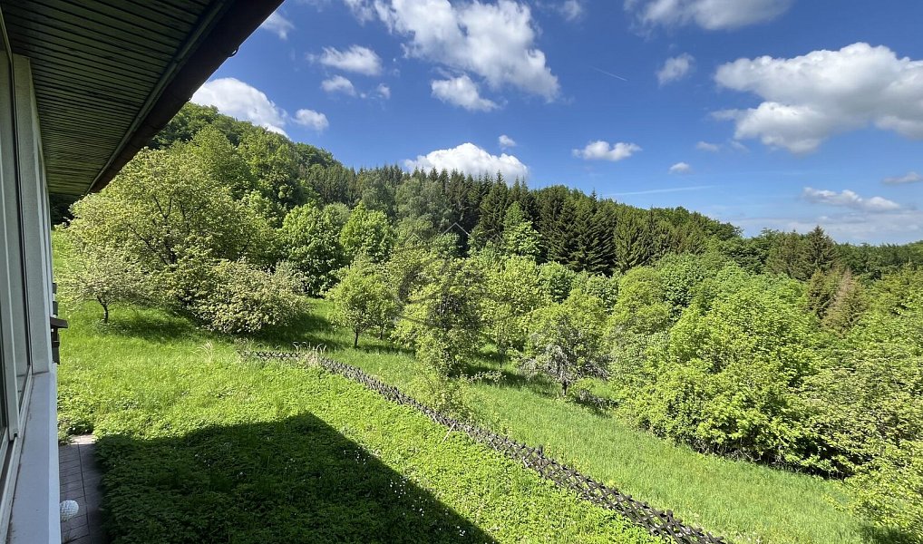Prodej chaty/chalupy 238 m² s pozemkem 26 144 m², Vsetín – náhled fotky 19