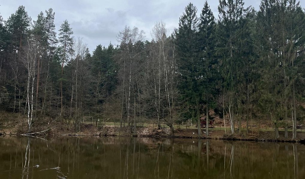 Prodej chaty/chalupy 150 m², Janovice v Podještědí – náhled fotky 4