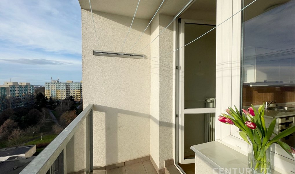 Pronájem bytu 1+1 41 m², Praha – náhled fotky 3