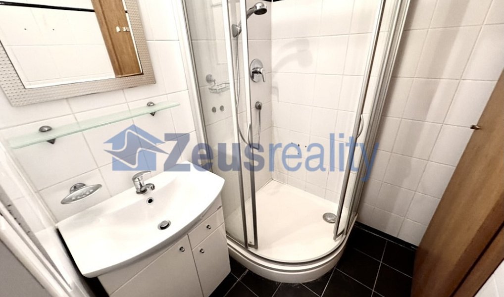 Pronájem bytu 2+1 65 m², Praha – náhled fotky 7