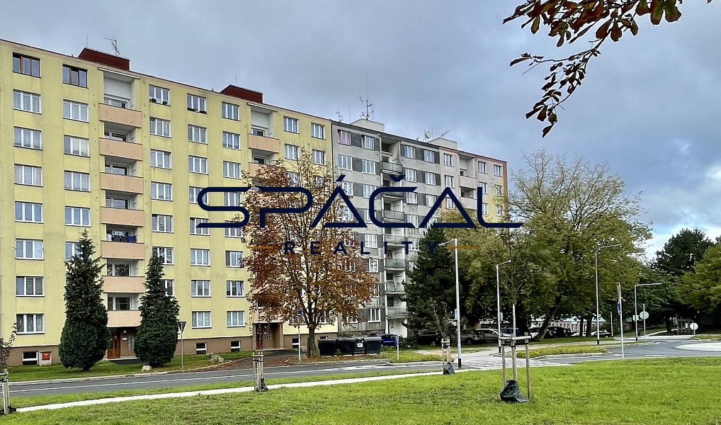 Pronájem bytu 1+1 35 m², Švabinského, Sokolov