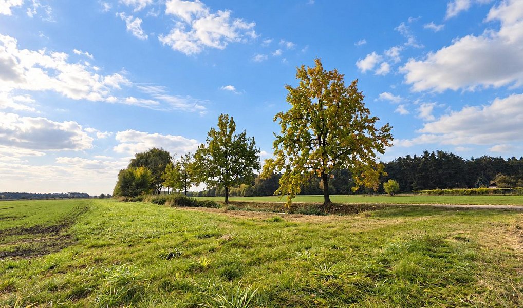 Prodej domu 120 m² s pozemkem 303 m², Kostelní Lhota – náhled fotky 8