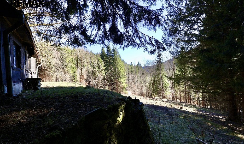 Prodej stavebního pozemku 7 880 m², Morávka – náhled fotky 5