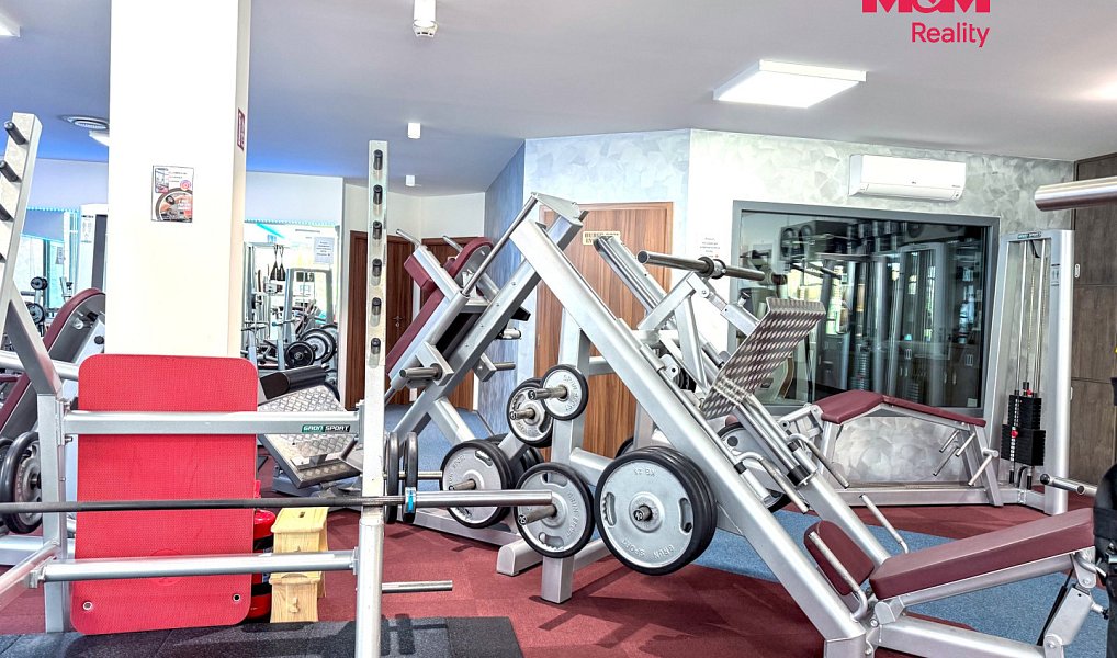 Pronájem obchodních prostor 276 m², Praha – náhled fotky 6