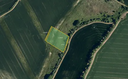 Prodej pole 7 967 m², Zdounky, okres Kroměříž