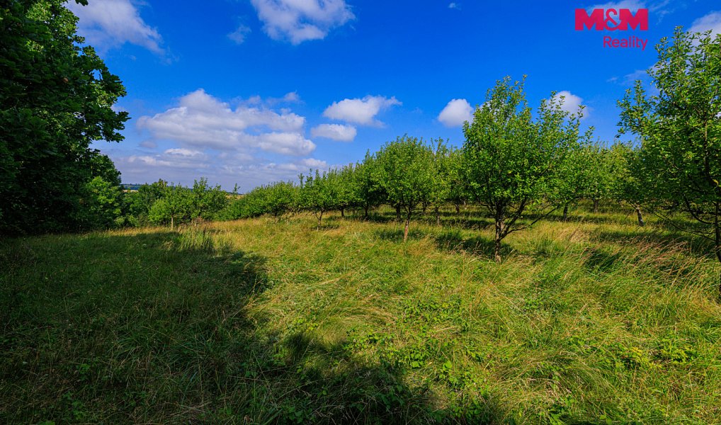 Prodej pole 9 766 m², Polom – náhled fotky 2