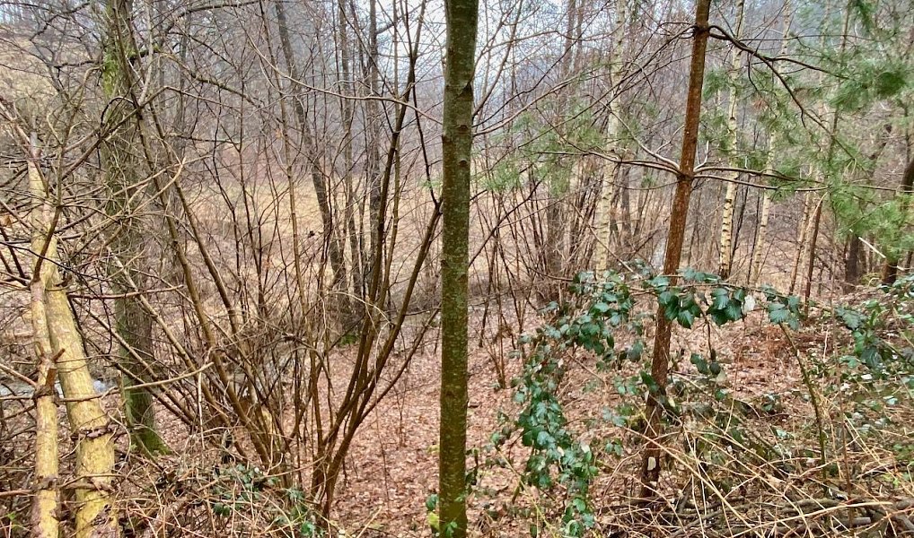 Prodej vodní plochy 8 264 m², Ondřejov – náhled fotky 14