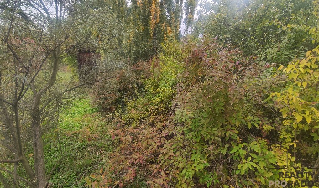 Prodej stavebního pozemku 751 m², Nové Sady – náhled fotky 5