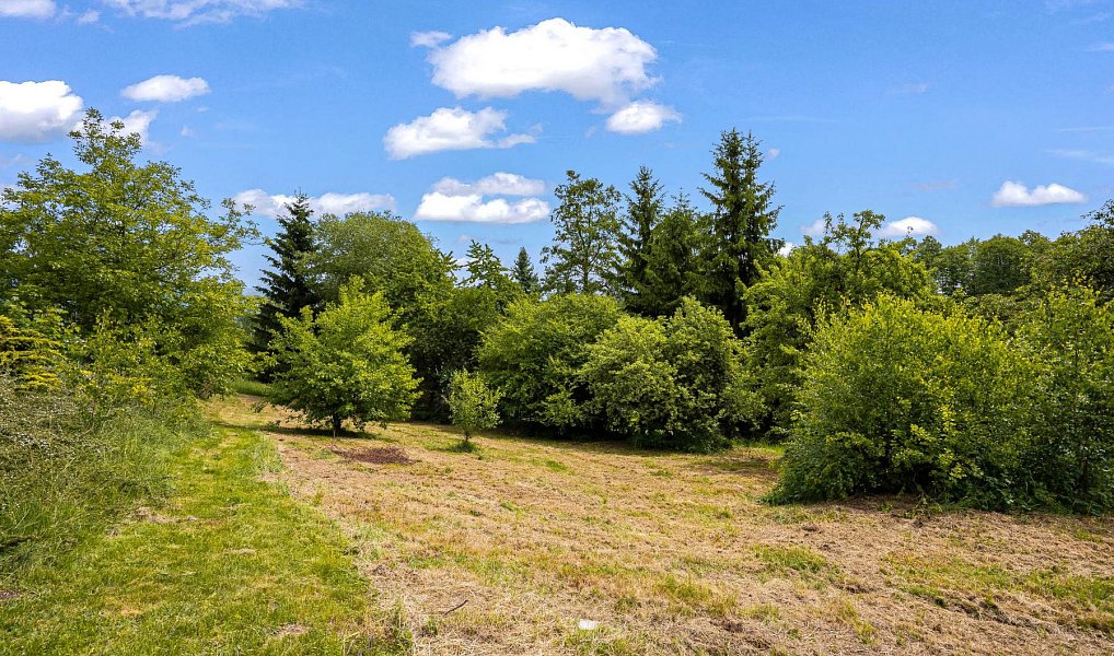 Prodej stavebního pozemku 1 785 m², Vysoké nad Jizerou – náhled fotky 10