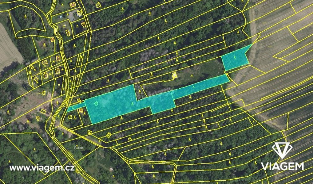 Prodej lesa 7 382 m², Ondřejov – náhled fotky 4