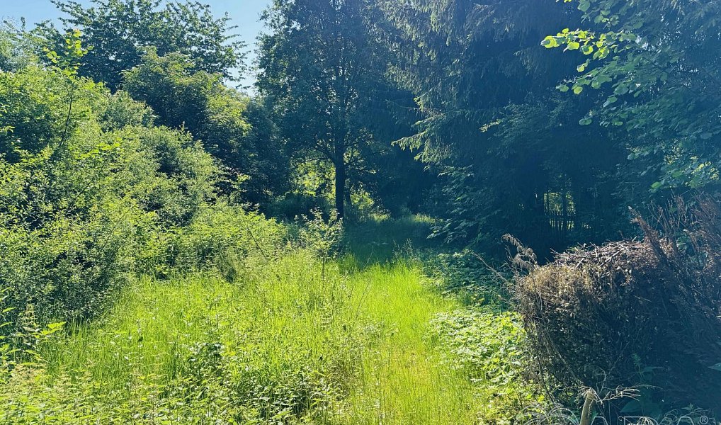 Prodej stavebního pozemku 701 m², Tábor – náhled fotky 3