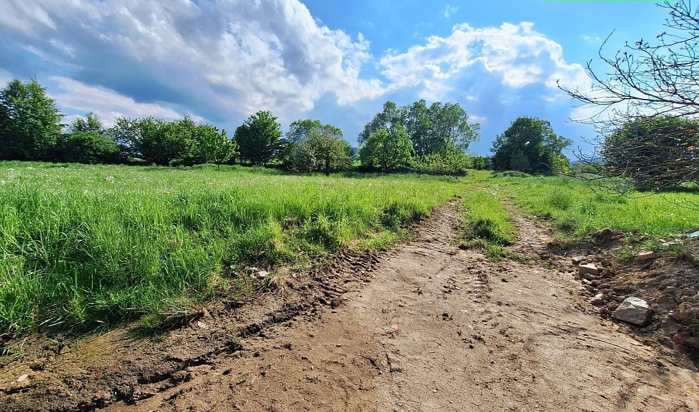 Prodej domu 90 m² s pozemkem 316 m², Dražovice – náhled fotky 13
