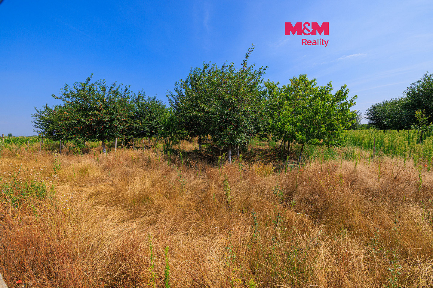 Prodej pole 21 280 m²