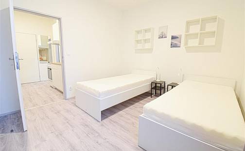 Pronájem bytu 1+1 24 m², Václavská, Brno - Staré Brno