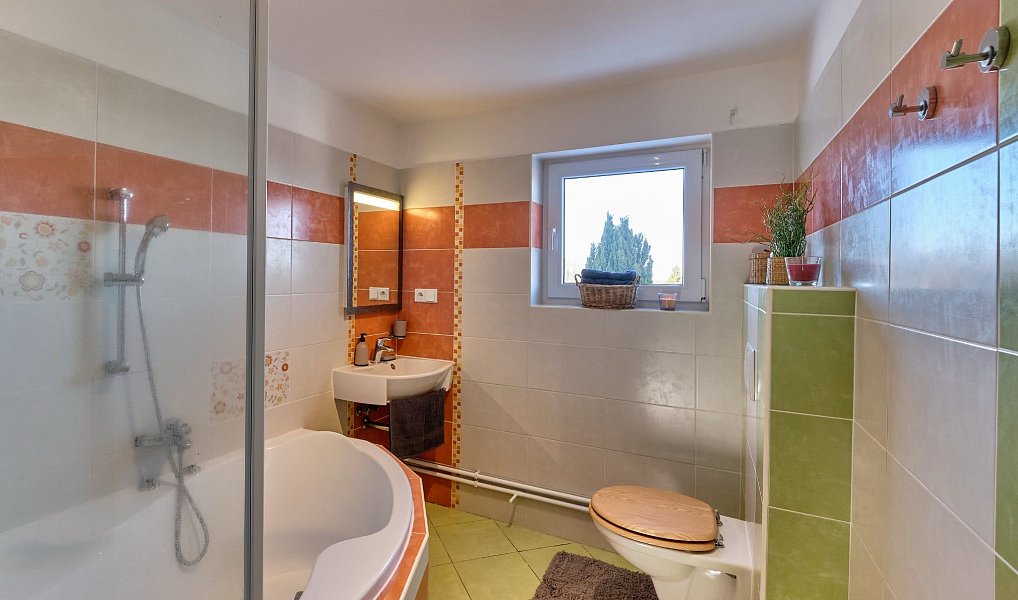 Prodej chalupy 130 m² s pozemkem 734 m², Benešov nad Černou – náhled fotky 23