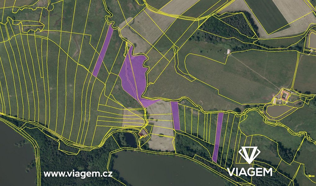Prodej pole 1 816 m², Olešnice – náhled fotky 4