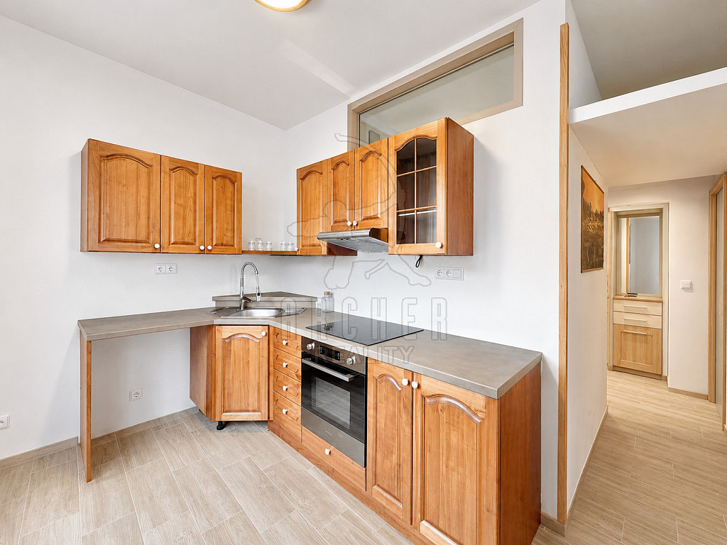 Prodej bytu 2+1 58 m² – fotografie 5