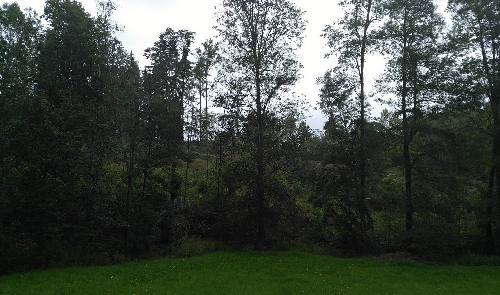 Prodej zahrady 7 879 m², Košťálov – náhled fotky 3