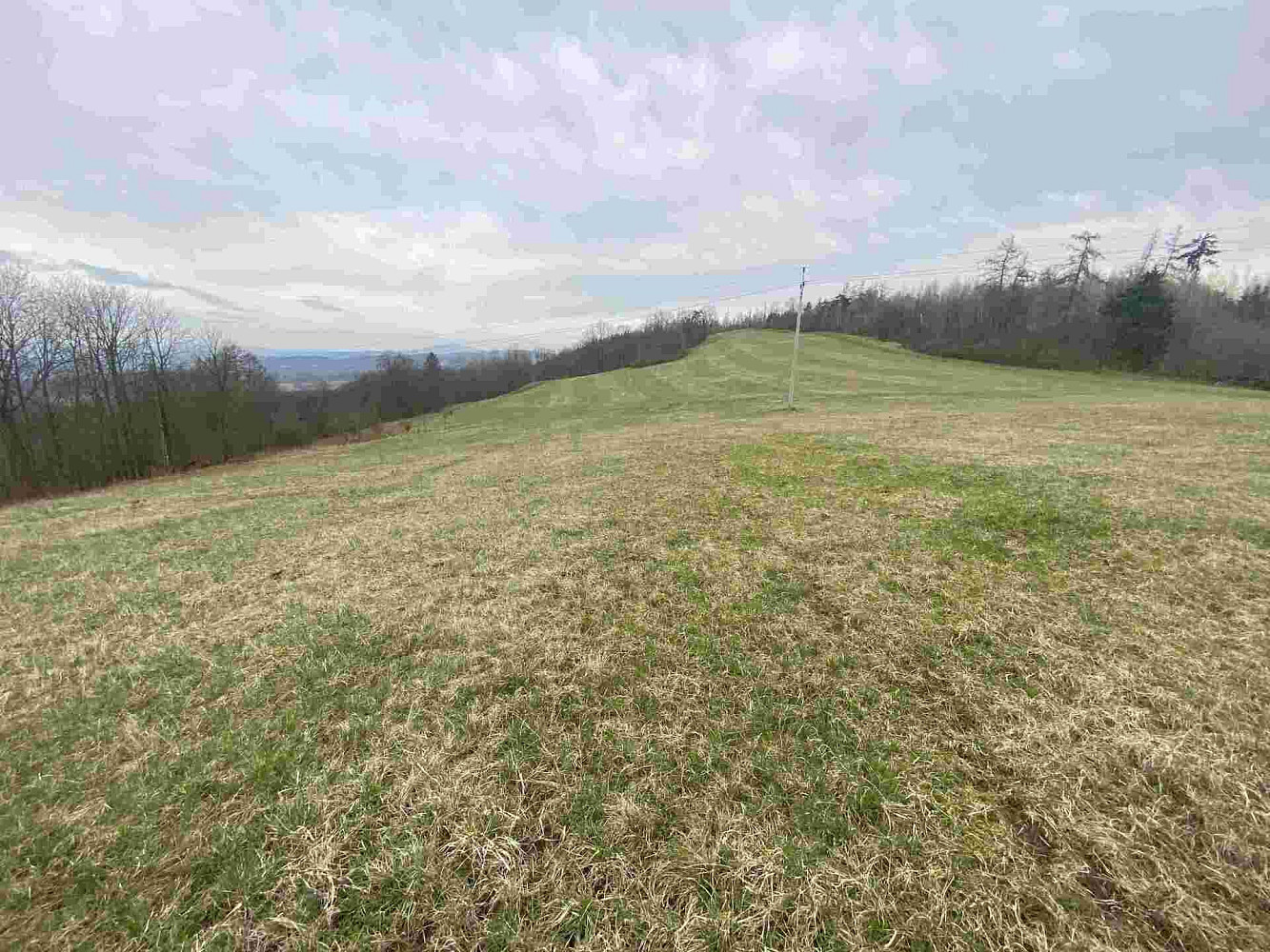 Prodej pole 14 714 m² – fotografie 3