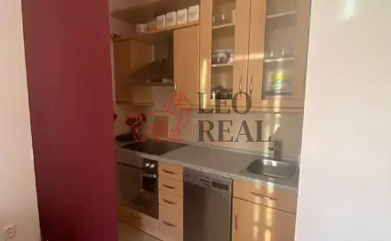 Pronájem bytu 1+kk 42 m²