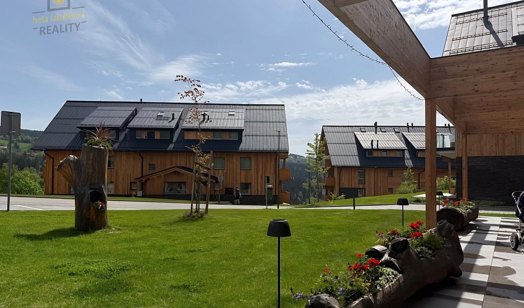 Prodej bytu 1+kk 56 m², Vítkovice – náhled fotky 28