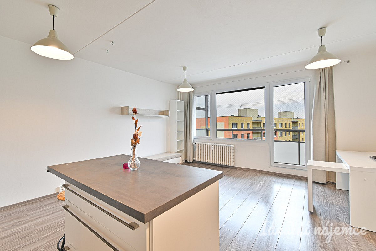 Pronájem bytu 2+kk 50 m² – další