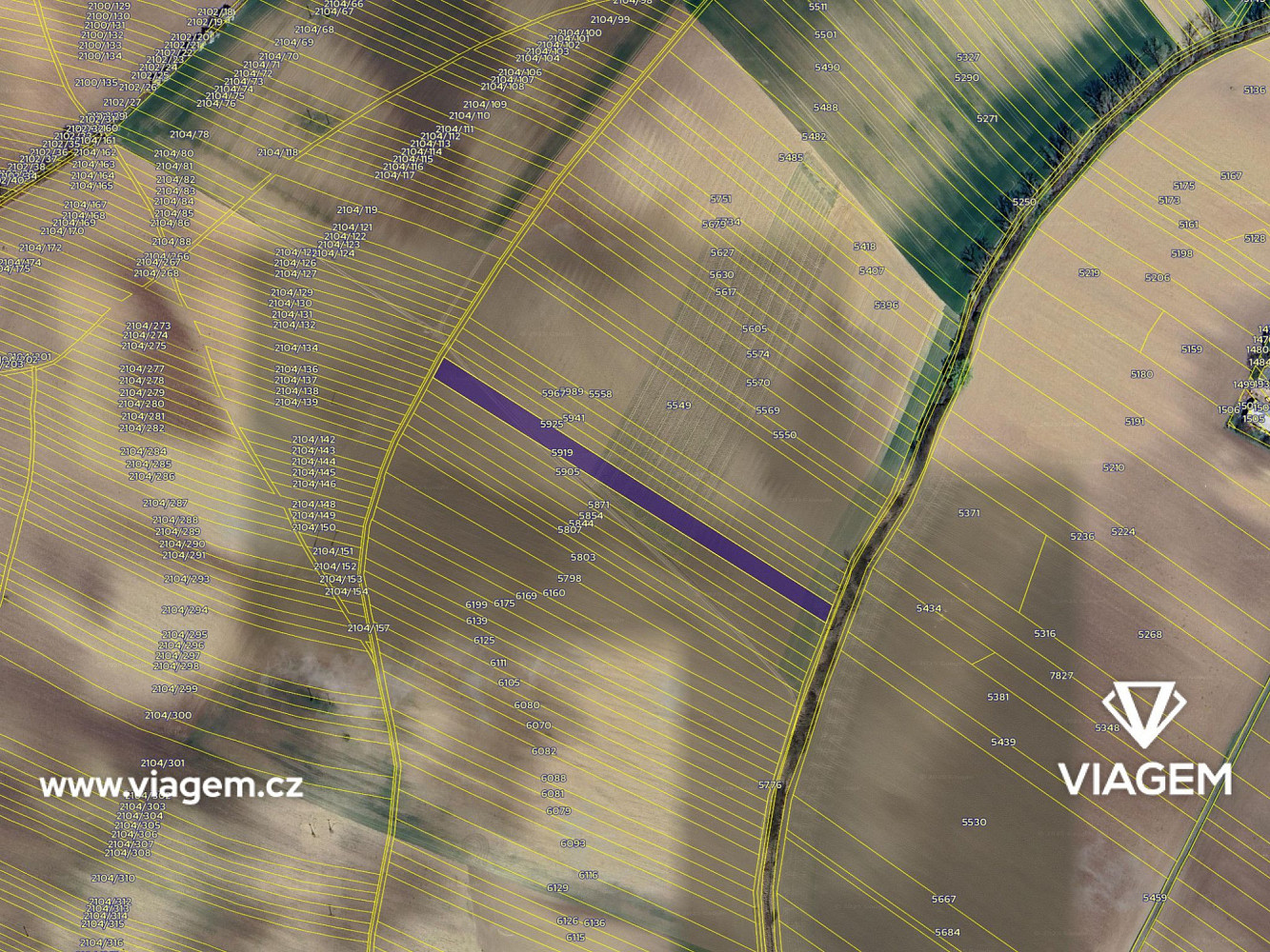 Prodej pole 1 385 m² – fotografie 4