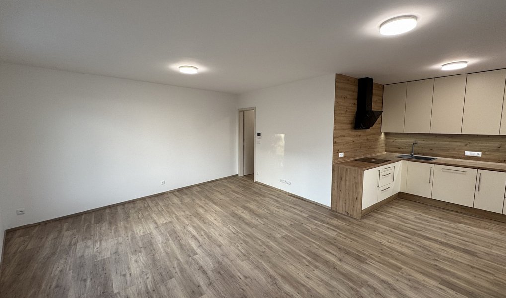 Pronájem bytu 3+kk 93 m², Nepomuk – náhled fotky 6