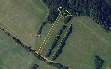 Dražba louky 12 642 m², Lipová