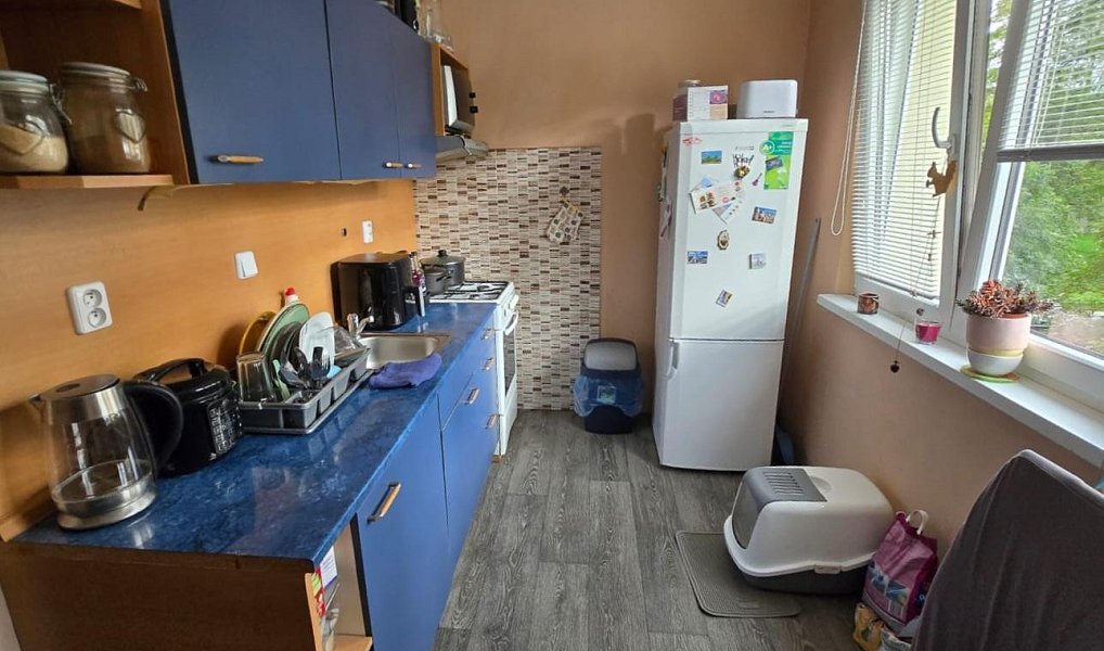 Prodej bytu 2+1 54 m², Duchcov – náhled fotky 5