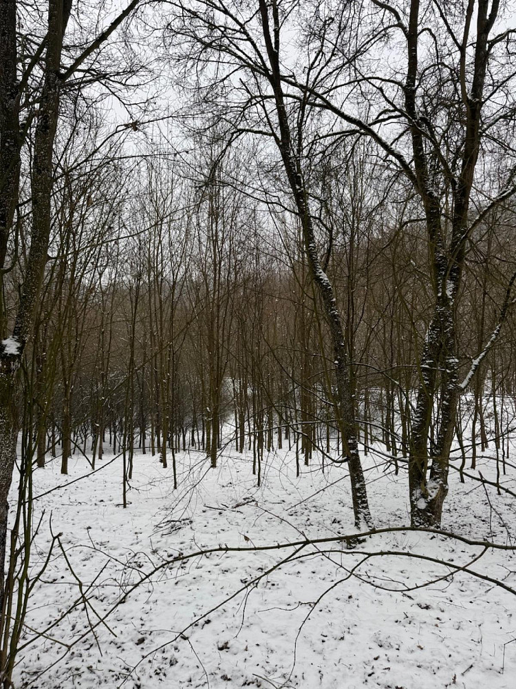 Dům – Chotiměř, okres Litoměřice – pohled 2
