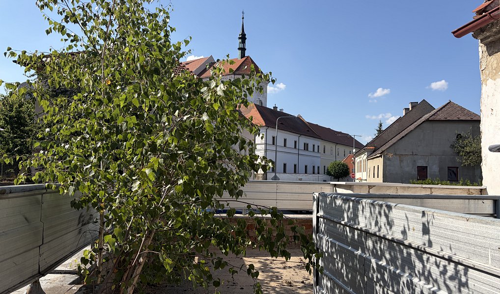 Prodej domu 93 m², Březnice – náhled fotky 3