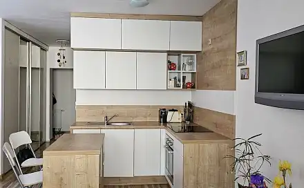 Pronájem bytu 1+kk 40 m², Tovární, Český Těšín, okres Karviná