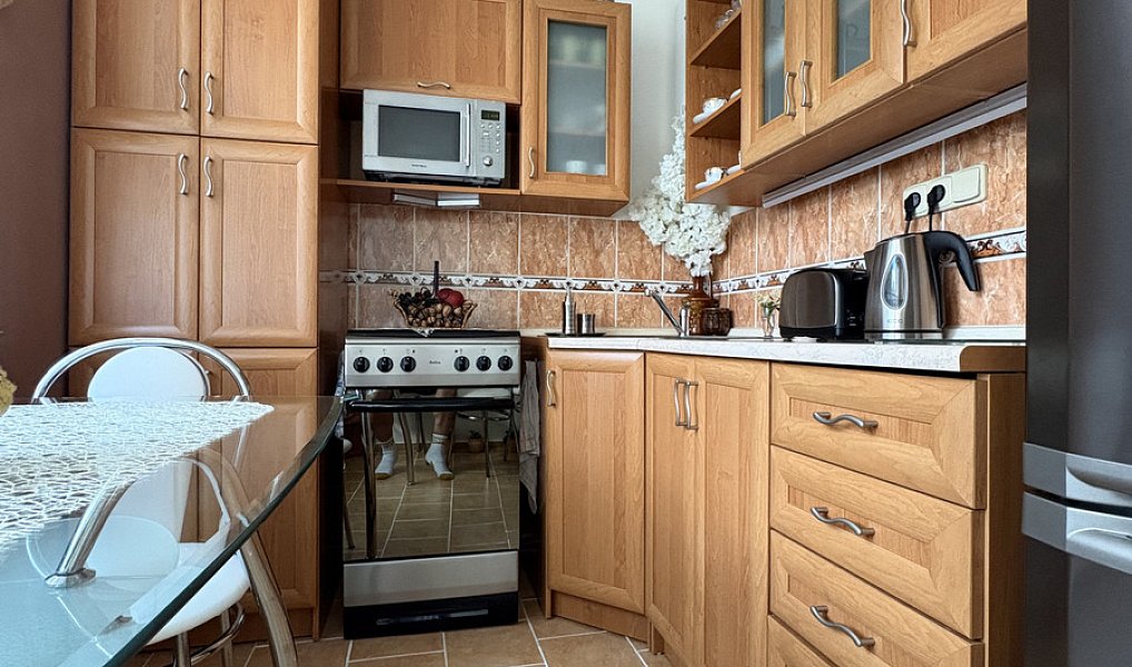 Prodej bytu 2+1 55 m², Nová Paka – náhled fotky 5