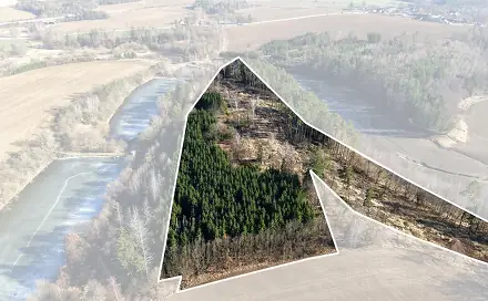 Prodej lesa 35 440 m², Chotoviny - Liderovice, okres Tábor