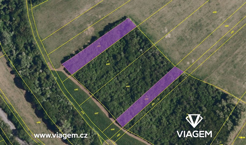 Prodej lesa 2 462 m², Kurdějov – náhled fotky 4