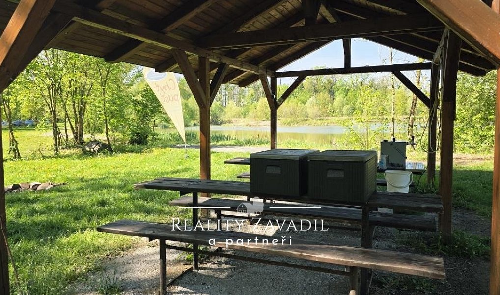 Prodej pozemku 32 500 m², Žabeň – náhled fotky 4