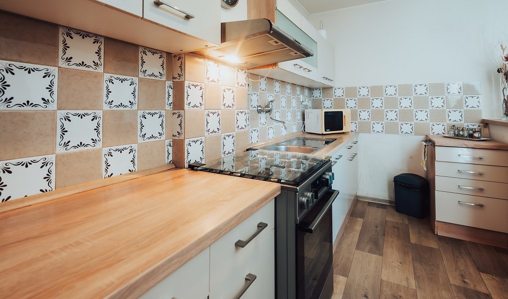 Prodej domu 410 m² s pozemkem 1 748 m², Nedachlebice – náhled fotky 3