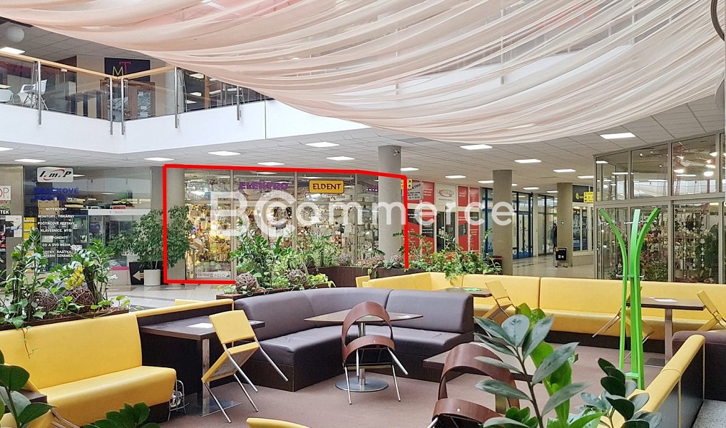 Prodej obchodních prostor 172 m², Brno – náhled fotky 2