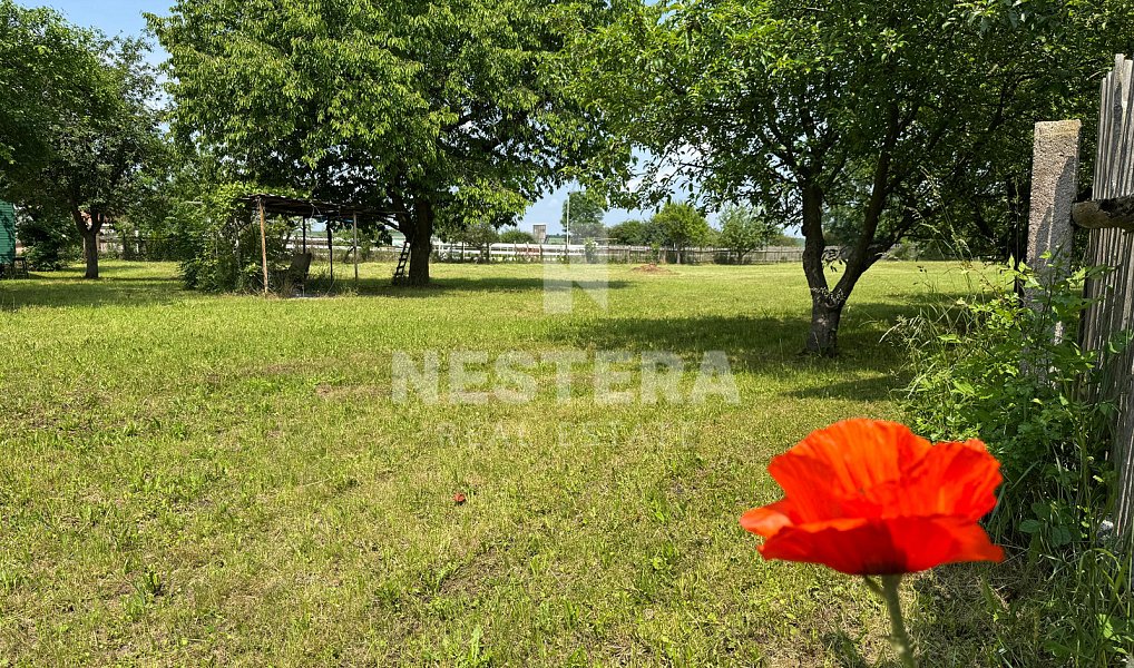 Prodej domu 90 m² s pozemkem 4 430 m², Chotěšice – náhled fotky 19