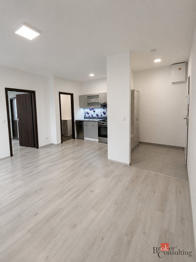 Pronájem bytu 2+kk 45 m² — photo 3