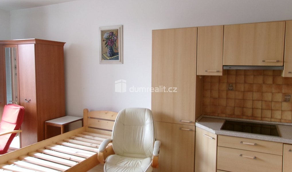 Pronájem bytu 1+kk 39 m², Mladá Boleslav – náhled fotky 12