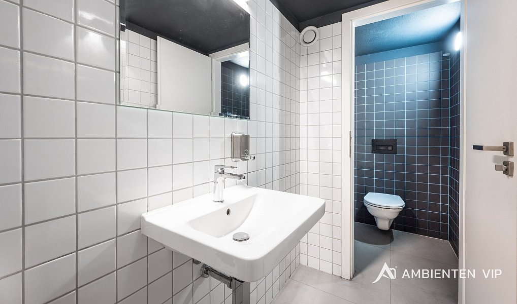Prodej obchodních prostor 494 m², Brno – náhled fotky 23