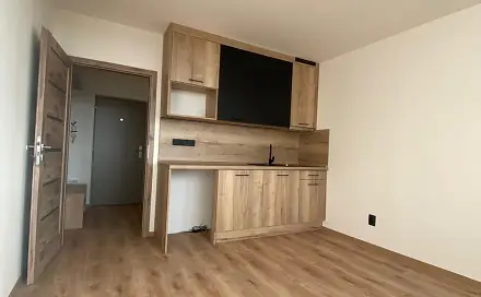 Pronájem bytu 1+kk 22 m², U Věžových domů, Most