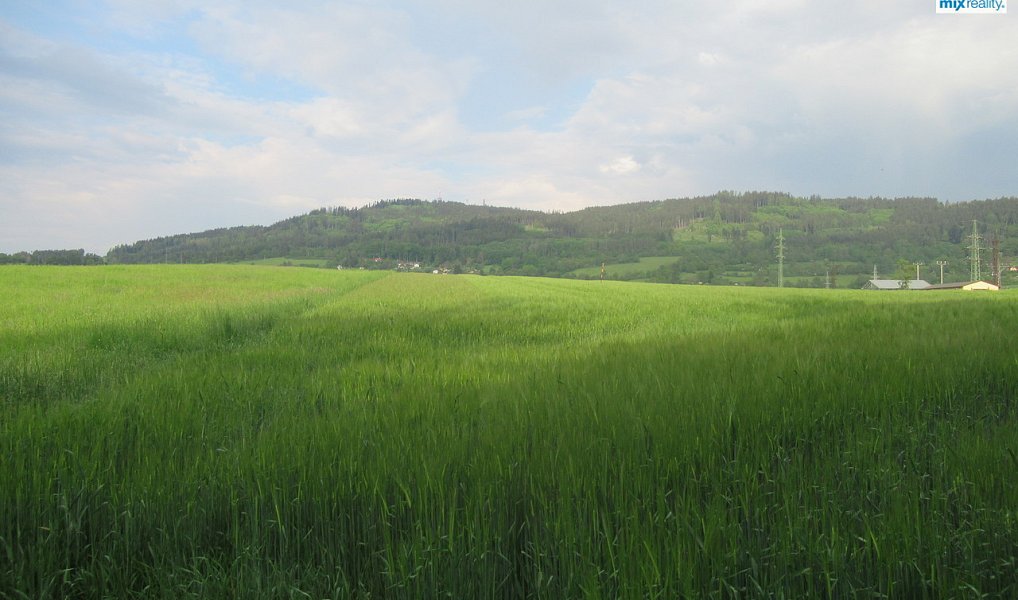 Prodej pole 10 640 m², Sušice – náhled fotky 3