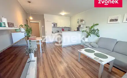 Pronájem bytu 2+kk 52 m², Zelinova, Zlín