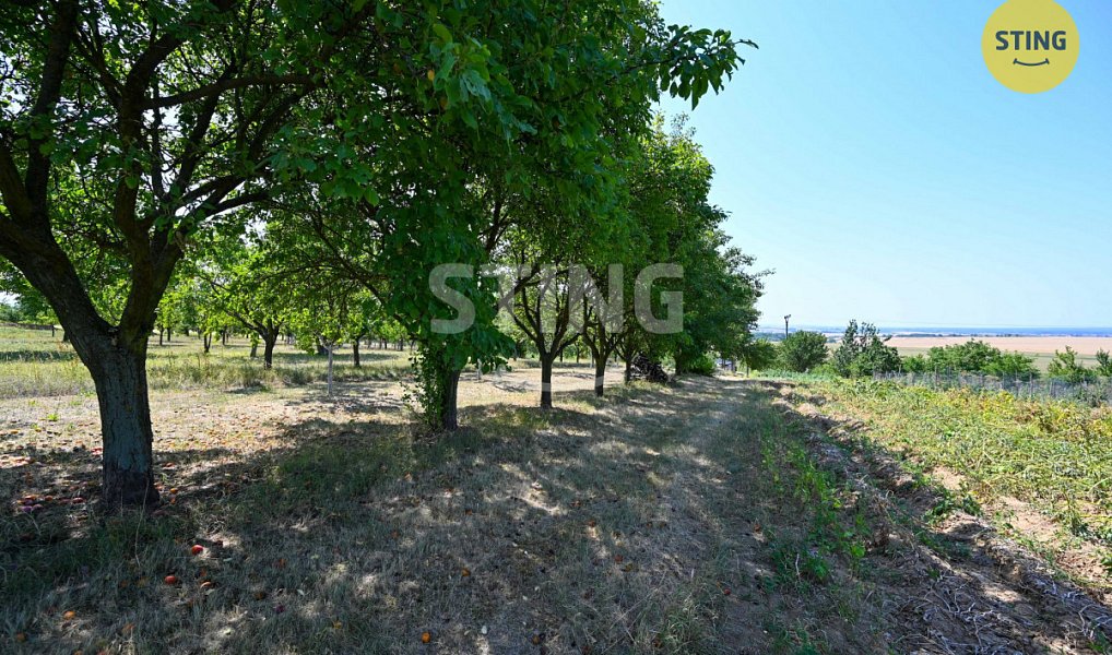 Prodej zahrady 454 m², Kunovice – náhled fotky 7