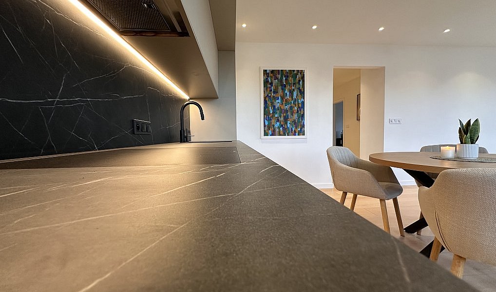 Pronájem bytu 2+kk 58 m², Plzeň – náhled fotky 3
