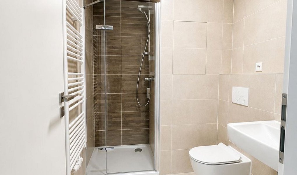 Pronájem bytu 1+kk 28 m², Plzeň – náhled fotky 4